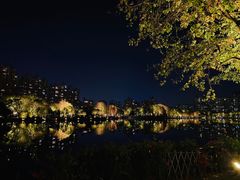 -文华公园(禅城区)
