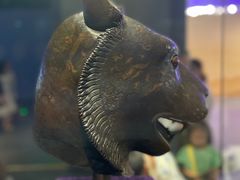 -广西壮族自治区博物馆