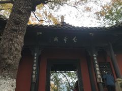 -白帝城·瞿塘峡景区