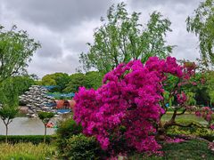 -上海鲜花港