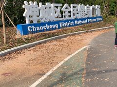 -王借岗森林公园