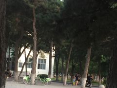 -东北大学(南湖校区)
