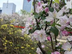 -海棠花溪(元大都城垣遗址公园)