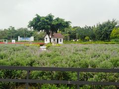 -广东花都香草世界旅游度假区