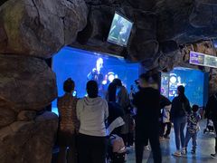 -烟台海昌鲸鲨海洋公园