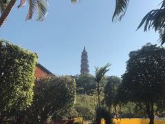 -顺峰山公园
