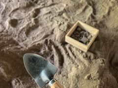 -房山世界地质公园博物馆