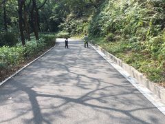 -三水森林公园