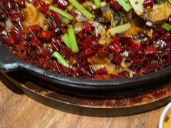 -老板恋上鱼(恒隆广场店)