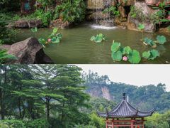 -广州神农草堂中医药博物馆