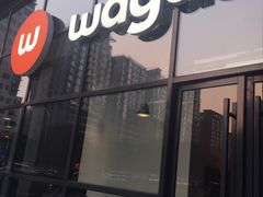 -Wagas沃歌斯(富力广场店)