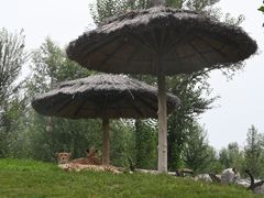 -北京野生动物园