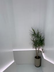 -LJOY丽锦造型·烫发染发