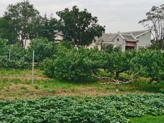 -习仲勋故居