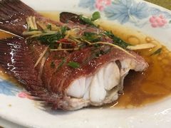 -长平肥姐白粥·海鲜打冷