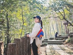 -杭州黄龙洞