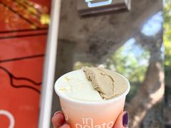 柚子马斯卡彭-Dip in Gelato(富民路店)