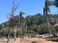 -广州长隆野生动物世界