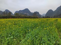-靖西鹅泉风景区