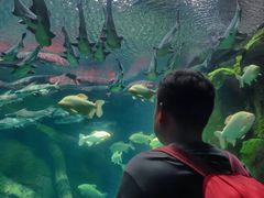 -波塞冬旅游度假区