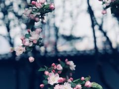 -金掌勺东北菜(格兰晴天店)