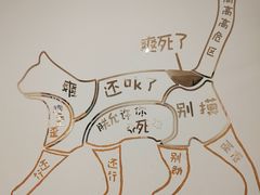 -有喵·猫咖·狗咖·30几只猫10只小狗(岗厦店)