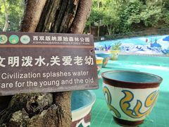 -西双版纳原始森林公园