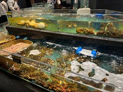 -龙宴海鲜城(经中路店)