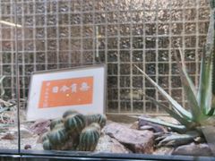 -老李家土菜馆·安吉地标美食