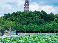 -顺峰山公园