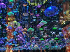 -成都梵高星空艺术馆(春熙路旗舰店)