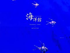 -江和美海洋公园