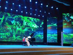 -陕北民歌大舞台