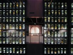 -广州神农草堂中医药博物馆