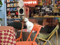 -nodcafe(M50创意园店)