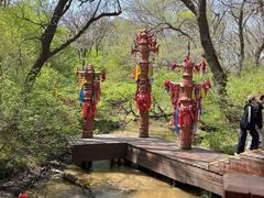 -大青沟风景区