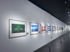 -南京书画院金陵美术馆