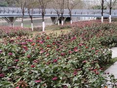 -怡海公园(桂城街道)