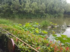 -新江湾城公园