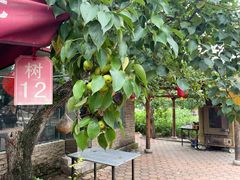 -老村长农家院