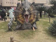 -自贡恐龙博物馆