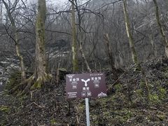 -武当山风景区