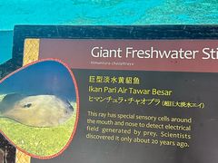 -河川生态园