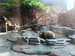 -泉州海丝野生动物世界