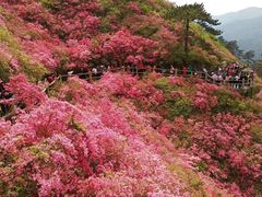 -木兰云雾山