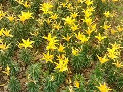 android_upload_pic-蠡湖中央公园