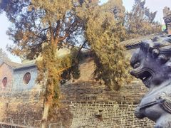 -洛阳白马寺