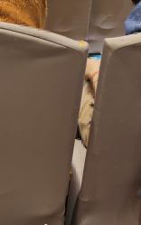 -静安洲际酒店·宴会厅