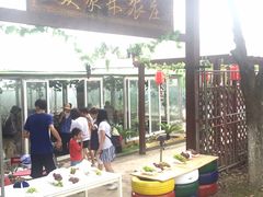 -美家乐农庄·露营·团建(大治路店)