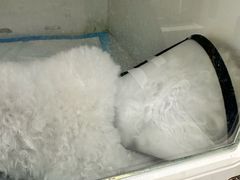 -宠颐生动物医院·心脏科·保险定点(锦阳分院)